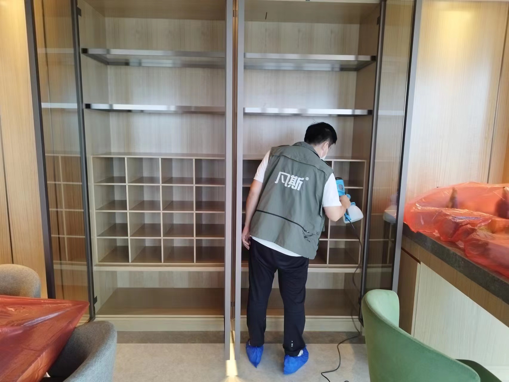 家里綠植的選購技巧，凈化室內(nèi)空氣